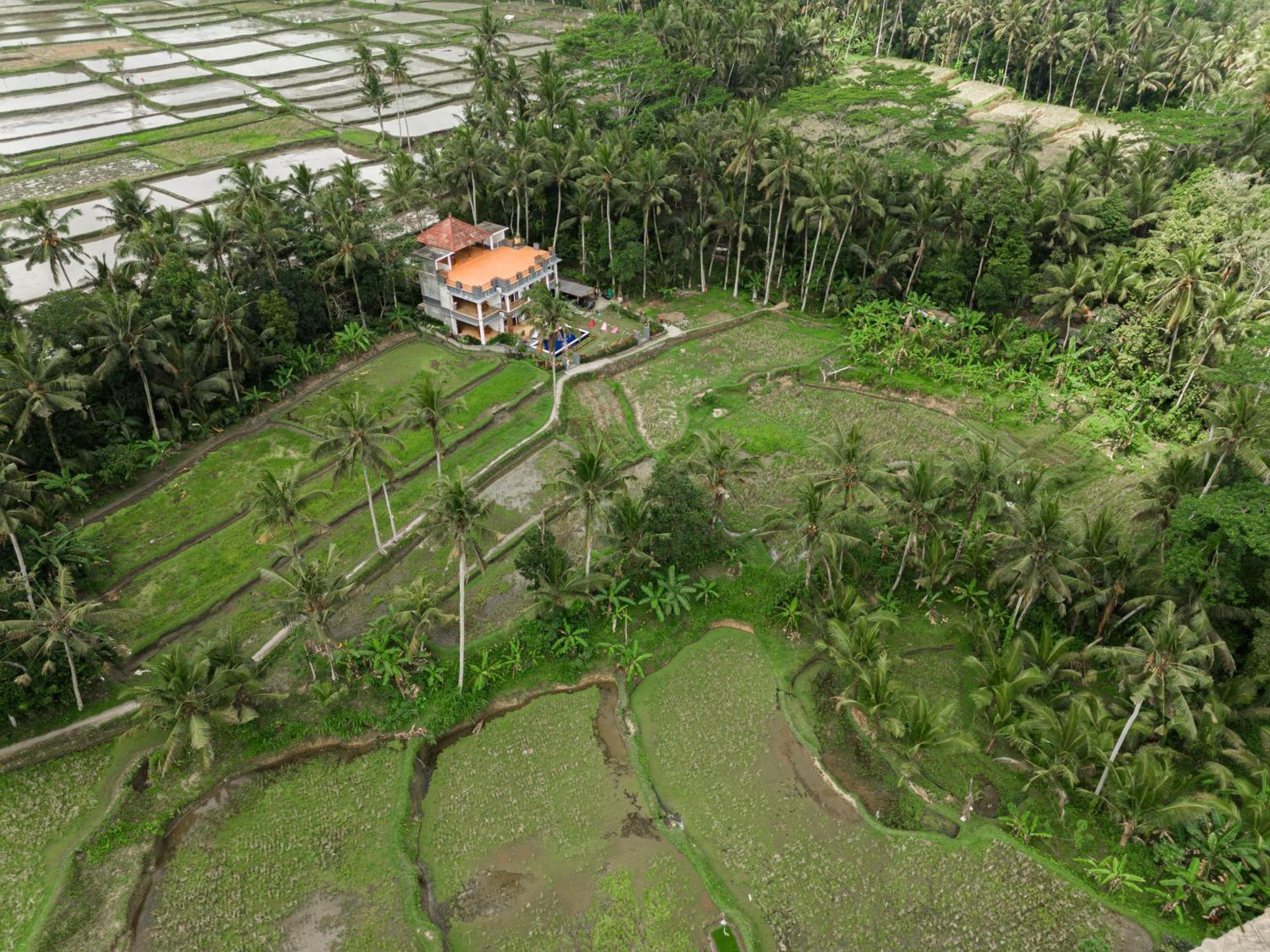 Adhidrawa Ubud Екстериор снимка